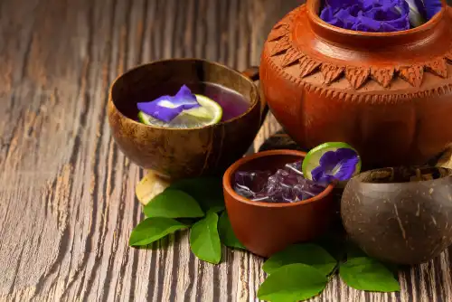 Plantes violette