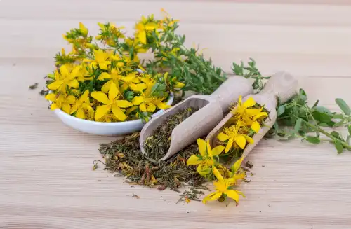 La naturopathie